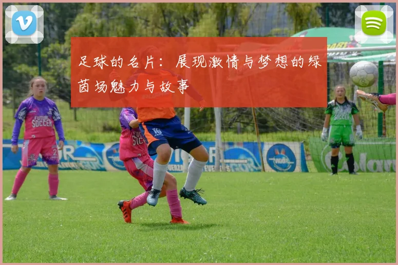 足球的名片：展现激情与梦想的绿茵场魅力与故事