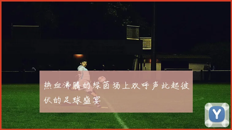 热血沸腾的绿茵场上欢呼声此起彼伏的足球盛宴
