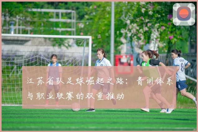 江苏省队足球崛起之路：青训体系与职业联赛的双重推动