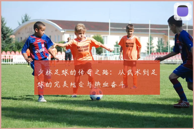 少林足球的传奇之路：从武术到足球的完美结合与热血奋斗