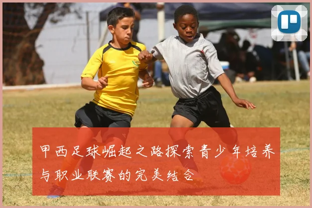 甲西足球崛起之路探索青少年培养与职业联赛的完美结合
