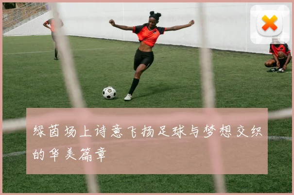 绿茵场上诗意飞扬足球与梦想交织的华美篇章