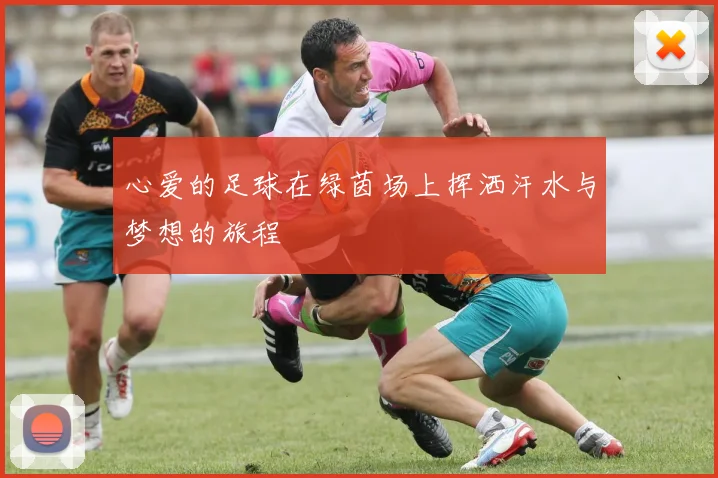 心爱的足球在绿茵场上挥洒汗水与梦想的旅程